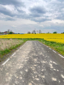 Działka Sprzedaż Warta Bolesławiecka